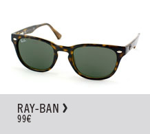 RAY BAN