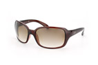 Ray-Ban Sonnenbrille RB 4068 829/51