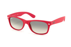 New Wayfarer RB 2132 810/32