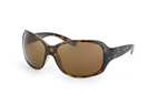 Ray-Ban Sonnenbrille RB 4118 710/57