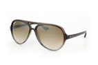 Ray-Ban Sonnenbrille Cats 5000 RB 4125 824/51