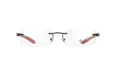 Carbon Fibre RX 8402 2509