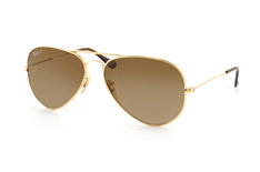 Aviator Titanium RB 8041 001/M2