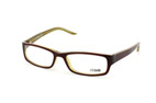 Just Cavalli Brille JC 0248 / V 071