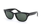 Ray-Ban Sunglasses Laramie RB 4169 601