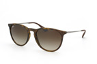 Ray-Ban Lunettes de soleil RB 4171 865/13