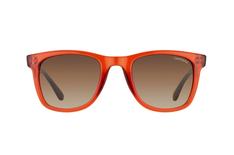 Carrera 6000/L 2NZ D8