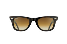 Wayfarer RB 2140 902/51 small