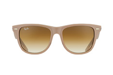 Wayfarer RB 2140 886/51 large