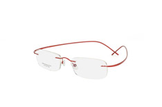 Aspect by Mister Spex Havel Titanium 1016 004 klein