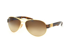 Ray-Ban RB 3509 001/13 petite