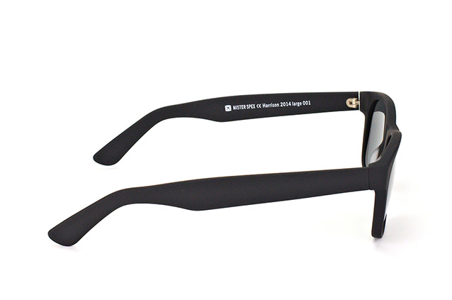 Aspect by Mister Spex Harrison 2014 001 large Perspektivenansicht