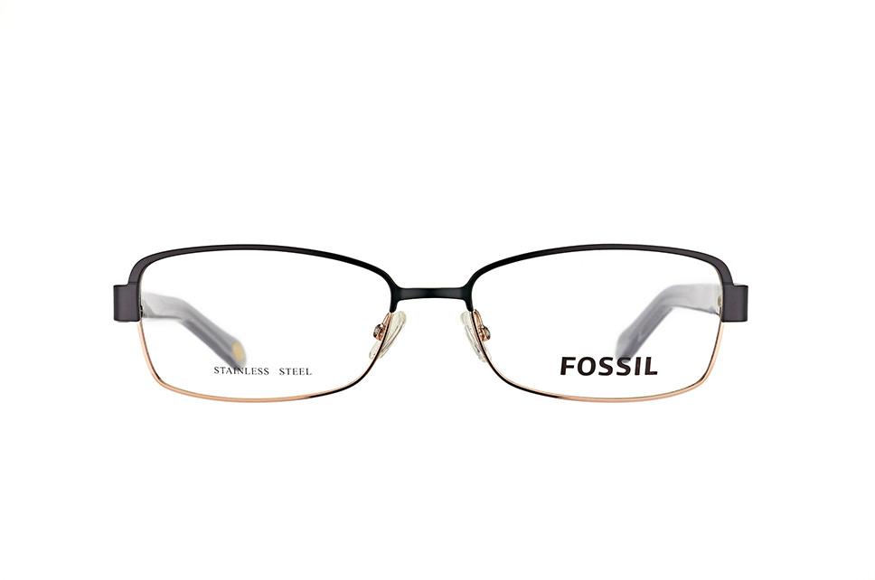Fossil FOS 6064 RTZ