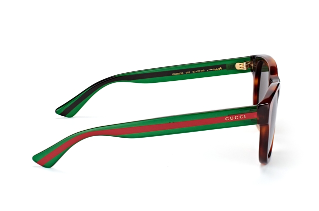 gg0003s polarized