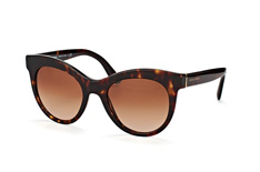 Dolce&Gabbana DG 4311 502/13 pieni