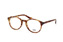 CO Optical Atkinson GRY Havana Minithumbnail