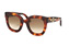 Gucci GG 0208S 001 Havana / Verlaufsglas Braun Minithumbnail