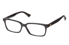 Gucci GG 0168O 005 klein