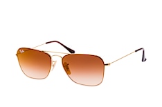 Ray-Ban RB 3603 001/S0 petite