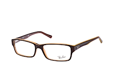 Ray-Ban RX 5169 5817 large klein