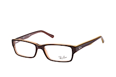 Ray-Ban RX 5169 5817 small klein
