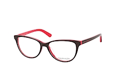 Calvin Klein CK 19516 205 klein