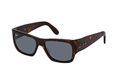 Ray-Ban Nomad RB 2187 902/R5 small