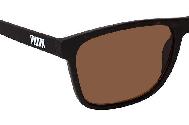 lunette puma brun