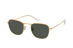 Ray-Ban Frank RB 3857 919658 small klein