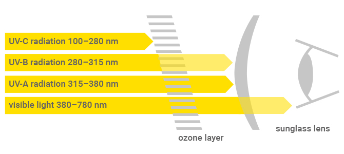 Types Of Sunglasses Chart